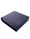 Pack Caixa Cartao Micro p/Pasta Arquivo 310x290 L60 (Azul) 10Uni