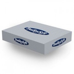 Bulkysoft Lenços Papel Facial 15.4x21cm | Entrega 24-48h